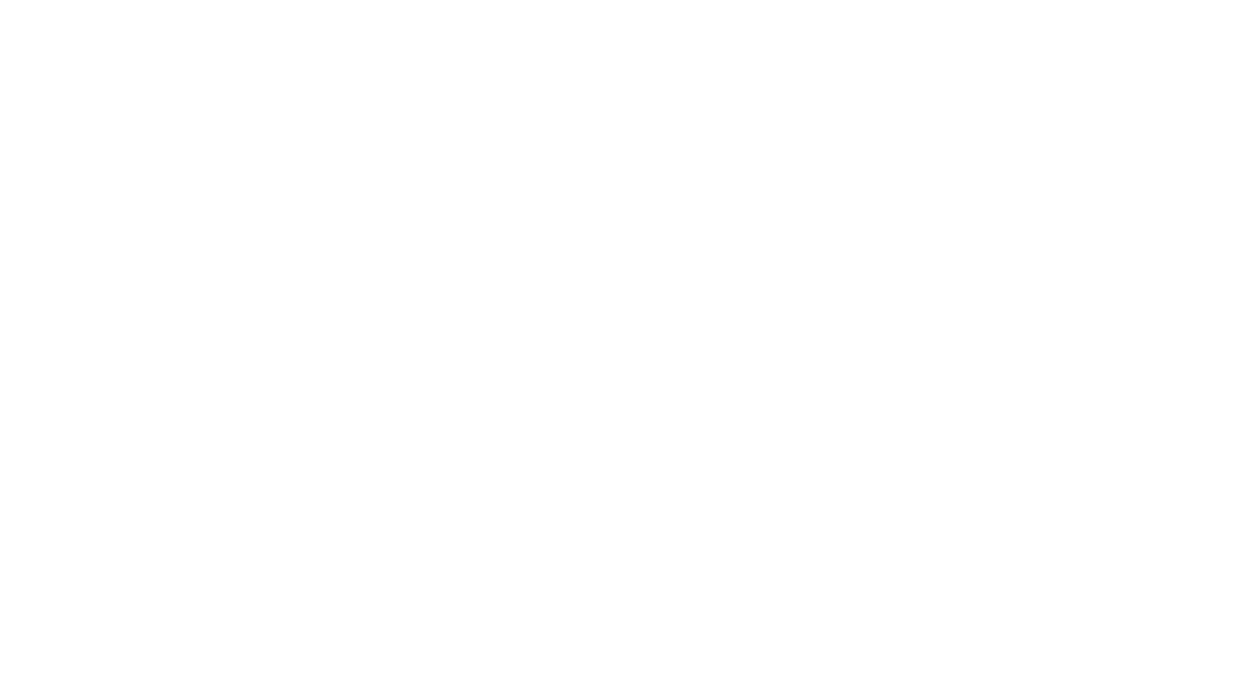 ARI Finance & Advisory